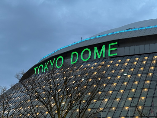 WBC観戦のアイキャッチ画像